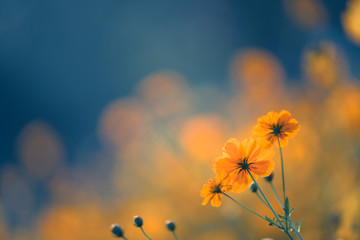 当车熄火后行车记录仪还会记录吗