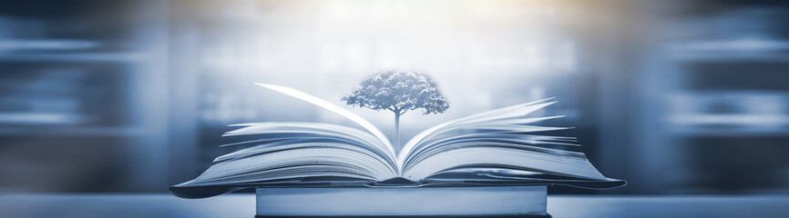 12580是不是车辆违章查询的号码