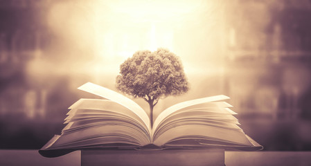 当车熄火后行车记录仪还会记录吗