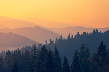 急求 从北京到宁晋的长途客车最早几点.从哪发车