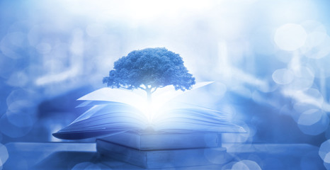 奔驰G55与G500的区别是什么？