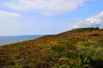 宝马118i二手车价格
