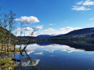 为什么京东、途虎上的轮胎比实体店便宜那么多-