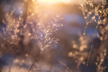 大众polo换离合器片多少钱