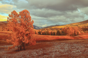 奔驰G55与G500的区别是什么？