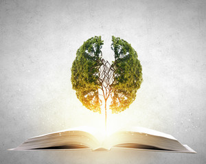 卡罗拉trcoff的按钮在哪