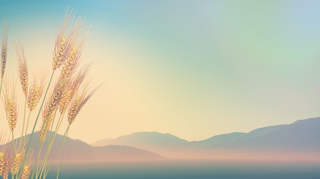 宝马118i二手车价格