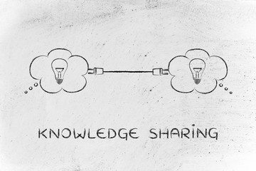坦克世界T110E3和E-100坦克歼击车哪个更好-分别该怎么用？