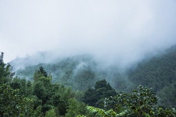 大众polo换离合器片多少钱